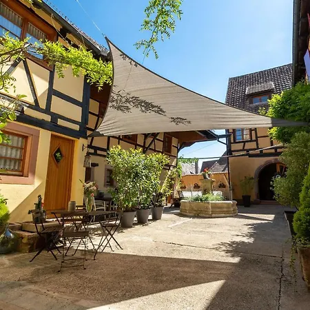 Appartement - La Cour St Fulrad