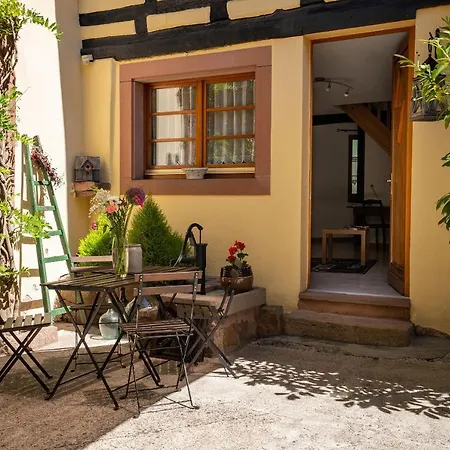 Apartment - La Cour St Fulrad Saint-Hippolyte (Haut-Rhin)