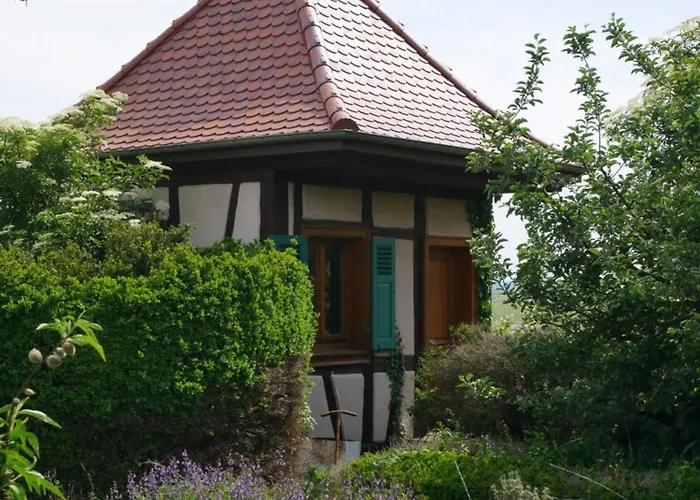 - La Cour St Fulrad Lejlighed Saint-Hippolyte (Haut-Rhin)